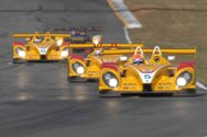 Petit Le Mans photo gallery